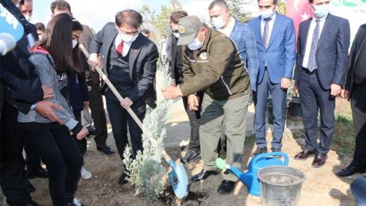 Şırnakta Geleceğe Nefes için 68 bin fidan dikildi