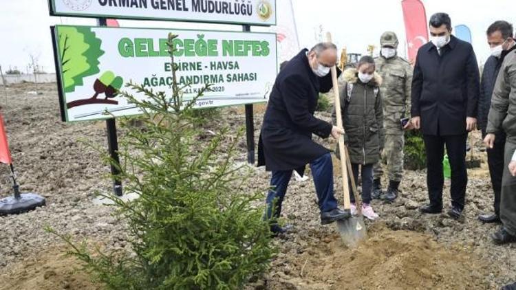 Vali Canalp: İlimizde orman varlığını arttırıyoruz