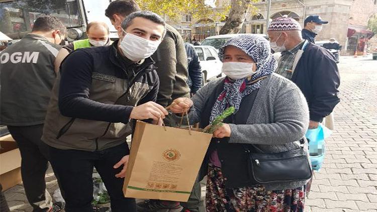 Çanakkalede vatandaşlara 2 bin fıstık çamı fidanı dağıtıldı