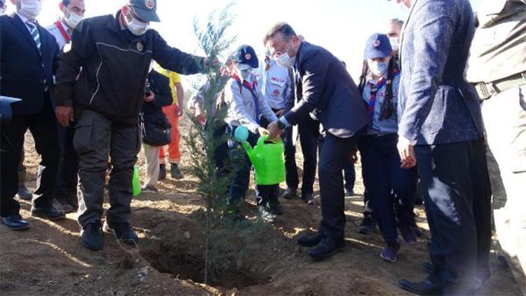 Aydında 10 bin fidan toprakla buluşturuldu