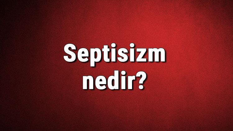 Septisizm nedir Kuşkuculuk ne demek Felsefede septisizm (kuşkuculuk) akımı özellikleri, kurucusu ve temsilcileri