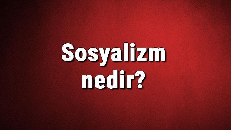 Sosyalizm nedir Sosyalist ne demek Sosyalizm nasıl ortaya çıkmıştır Sosyalizm ve tarihi hakkında bilgi