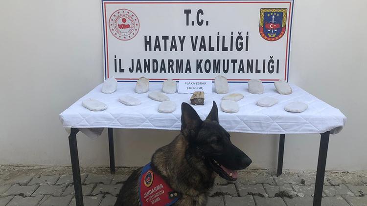 Nar ağacı altına gömülü 3 kilo esrar ele geçirildi