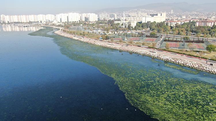 Son dakika haberleri... İzmirde şaşırtan görüntü Sosyal medyada görünce öğrendim