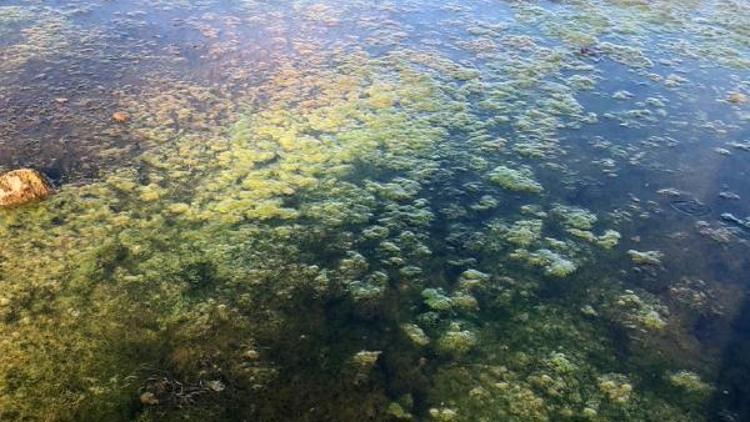 Eğirdir ve Beyşehir göllerinde dip suyu alarmı