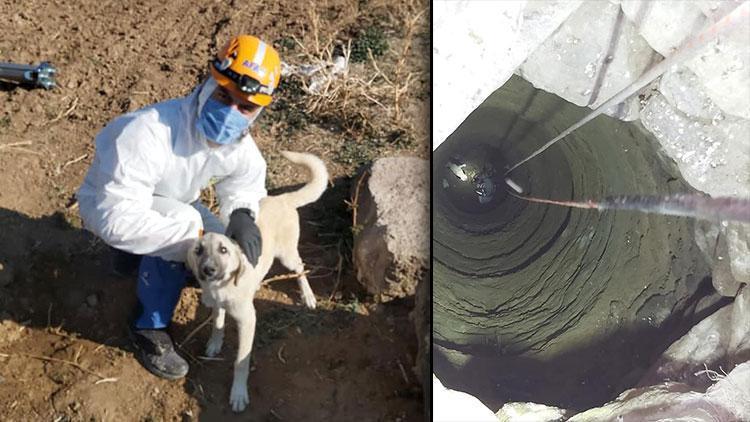 Niğde’de 4 gündür su kuyusunda mahsur kalan köpek kurtarıldı