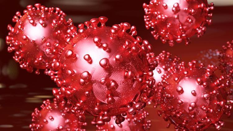 Koronavirüs Salgını Vücudu Nasıl Etkiliyor?