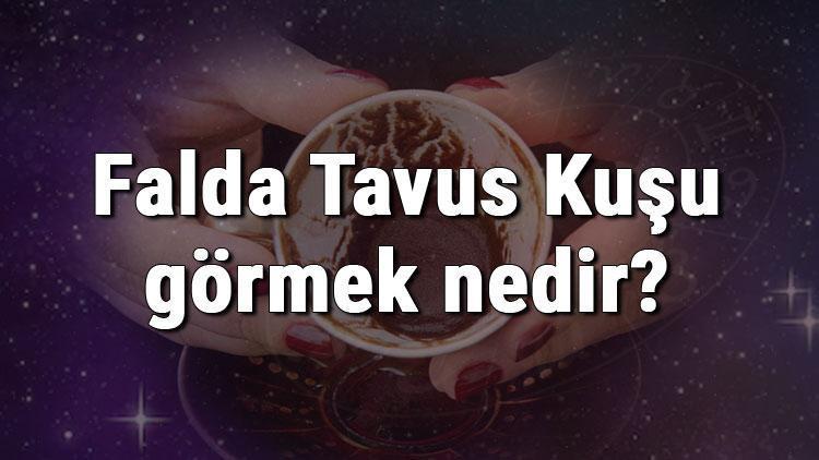 Falda Tavus Kuşu görmek nedir? Kahve falında tavus kuşu görmenin anlamı