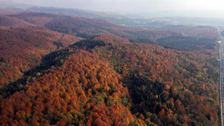 Bolu Dağında sonbahar güzelliği