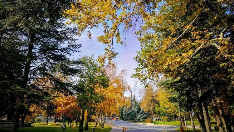 Kampüste sahipsiz sonbahar güzelliği