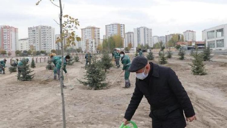 Başkan Çolakbayrakdar, Cırgalanda ağaç dikti
