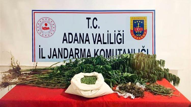 Adanada uyuşturucu operasyonu: 6 gözaltı