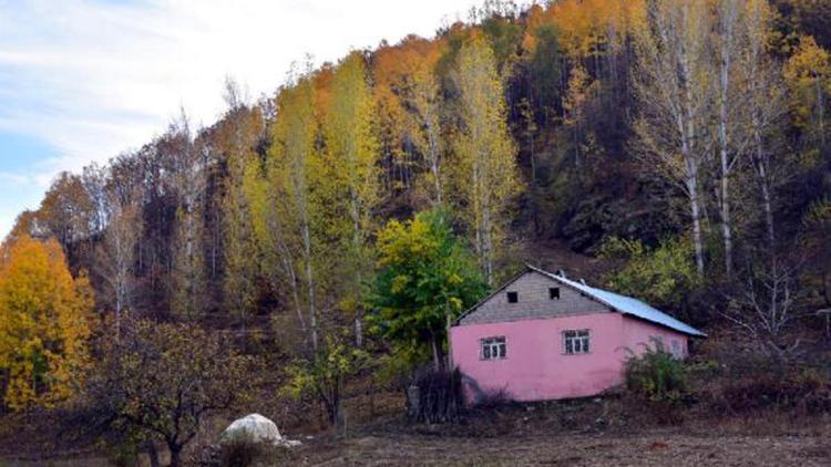 Muşta sonbaharın güzellikleri fotoğraf kareleriyle ölümsüzleştirildi