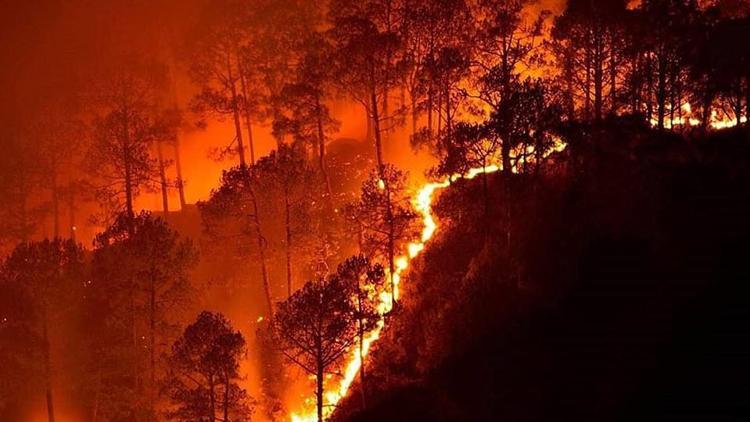 Toprağın nemini ölçen teknoloji ile orman yangınları önlenecek