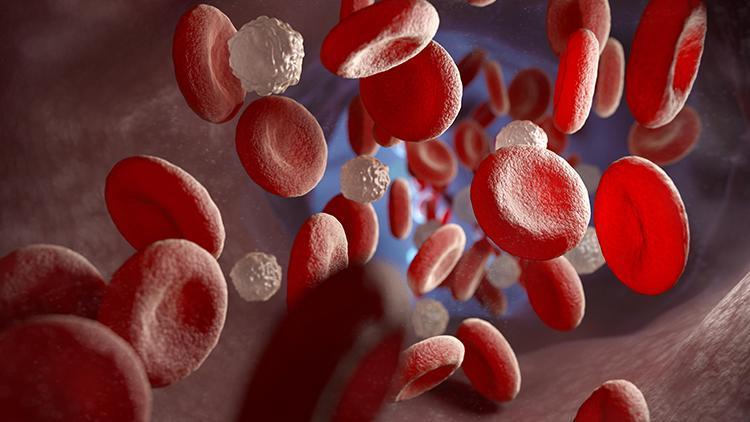 HIV virüsü nasıl bulaşır? HIV virüsüne karşı nelere dikkat edilmeli?