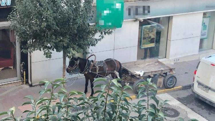 At arabasını kaldırıma park eden kişiye 132 lira ceza