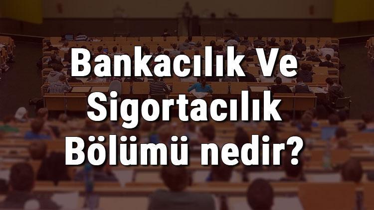 Bankacılık Ve Sigortacılık Bölümü nedir ve mezunu ne iş yapar Bölümü olan üniversiteler, dersleri ve iş imkanları