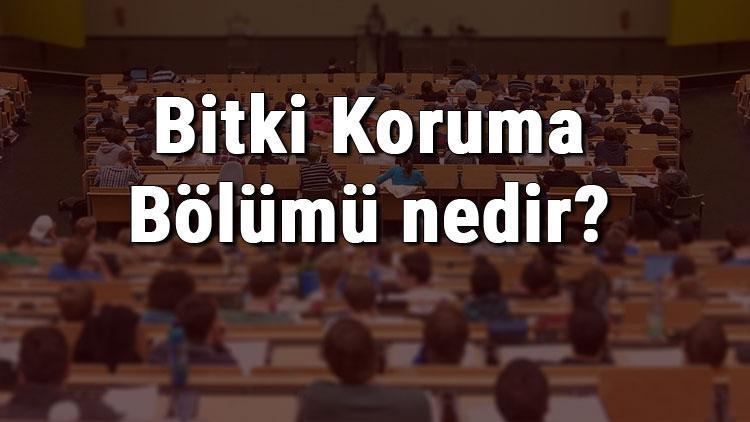 Bitki Koruma Bölümü nedir ve mezunu ne iş yapar Bölümü olan üniversiteler, dersleri ve iş imkanları