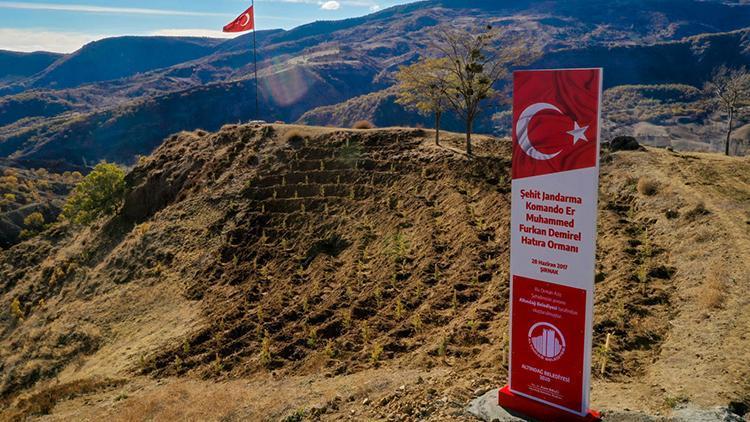 Şehidin ismi, Çorumda hatıra ormanında yaşayacak