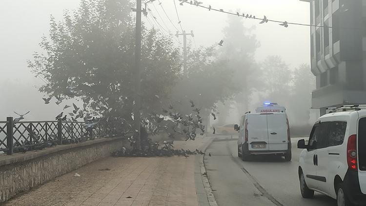 Düzce’de görüş mesafesi 10 metreye kadar düştü