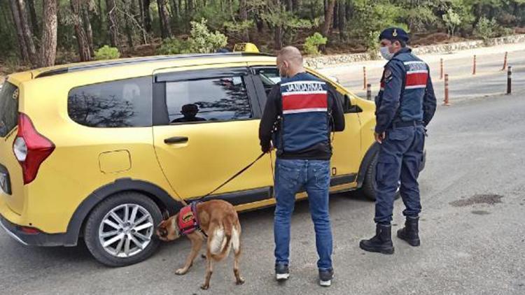 Muğlada jandarmanın koronavirüs denetiminde ceza yağdı