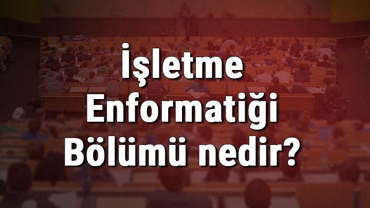 İşletme Enformatiği Bölümü nedir ve mezunu ne iş yapar Bölümü olan üniversiteler, dersleri ve iş imkanları