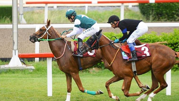 TJK’dan hafta sonu açıklaması Yarışseverler At yarışı bahislerini e-Bayi’den oynayacak
