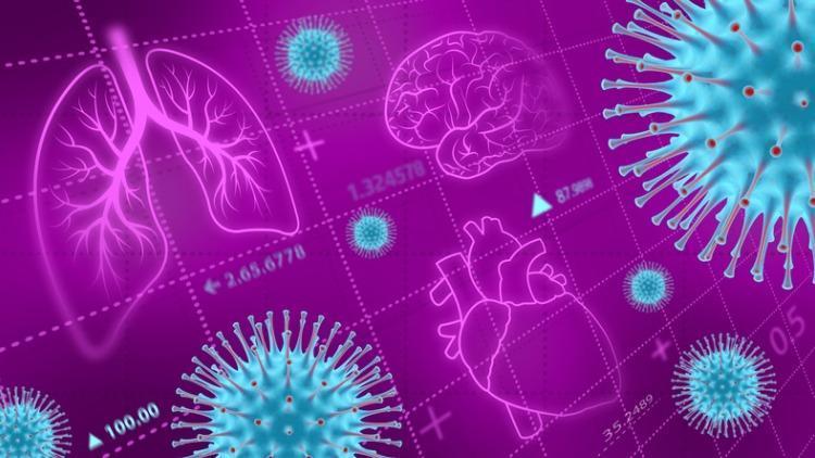 Koronavirüsünün Hedef Tahtası: Kalp