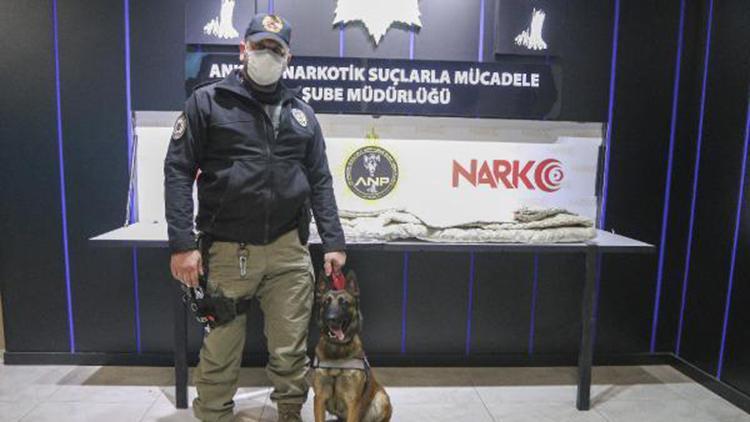 Ankara Polisi, Avustralyaya gönderilecek yorganda 8 kilo uyuşturucu buldu