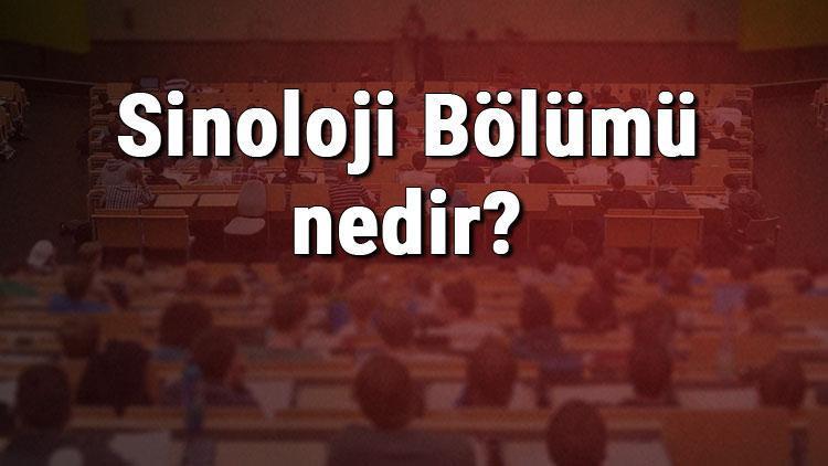 Sinoloji Bölümü nedir ve mezunu ne iş yapar Bölümü olan üniversiteler, dersleri ve iş imkanları