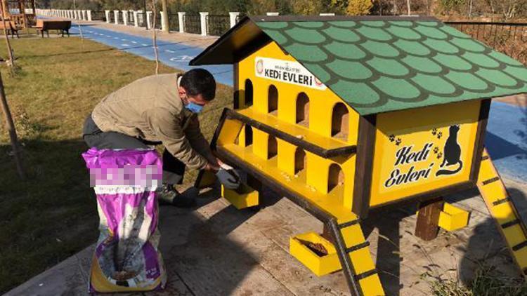 Amasyada kısıtlamada sokak hayvanları unutulmadı