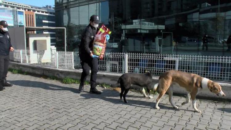 Esenyurtta polis ekipleri sokak hayvanları için mama bıraktı