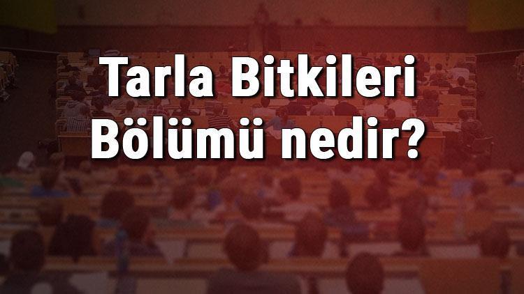 Tarla Bitkileri Bölümü nedir ve mezunu ne iş yapar Bölümü olan üniversiteler, dersleri ve iş imkanları