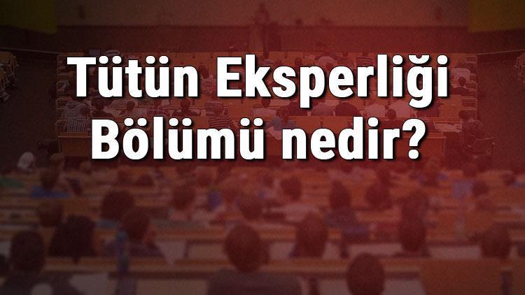 Tütün Eksperliği Bölümü nedir ve mezunu ne iş yapar Bölümü olan üniversiteler, dersleri ve iş imkanları