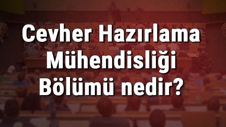 Cevher Hazırlama Mühendisliği Bölümü nedir ve mezunu ne iş yapar Bölümü olan üniversiteler, dersleri ve iş imkanları