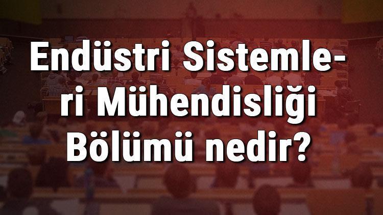 Endüstri Sistemleri Mühendisliği Bölümü nedir ve mezunu ne iş yapar Bölümü olan üniversiteler, dersleri ve iş imkanları