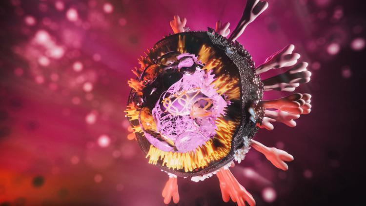 T Hücreleri Koronavirüse Karşı Gizli Bağışıklık mı Sağlıyor?