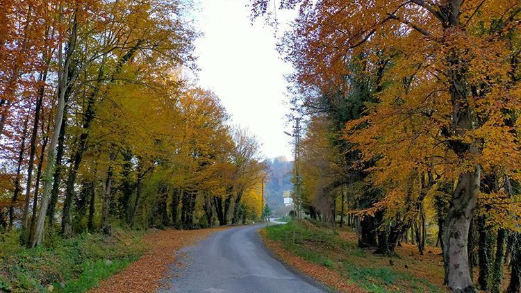 Ordu’da kartpostallık kareler