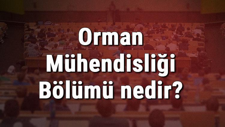 Orman Mühendisliği Bölümü nedir ve mezunu ne iş yapar Bölümü olan üniversiteler, dersleri ve iş imkanları