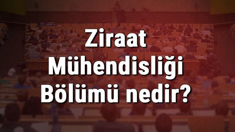 Ziraat Mühendisliği Bölümü nedir ve mezunu ne iş yapar Bölümü olan üniversiteler, dersleri ve iş imkanları