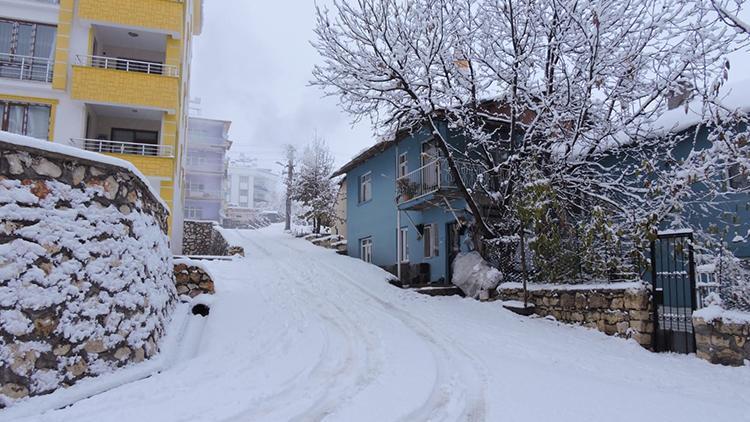 Tunceli’de kar yağışı etkili oldu, 132 köy yolu kapandı