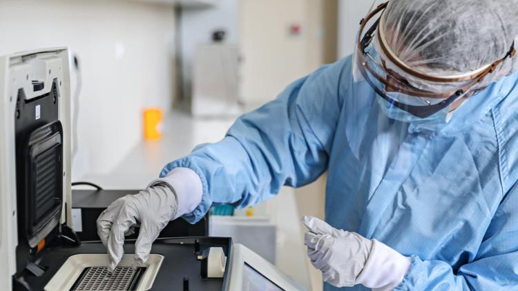 Atatürk Üniversitesi yerli koronavirüs aşısında hayvan deneylerine başlıyor