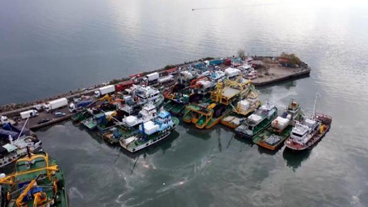 Zonguldakta boyu küçük hamsi avlayan 4 tekneye 200 bin lira ceza