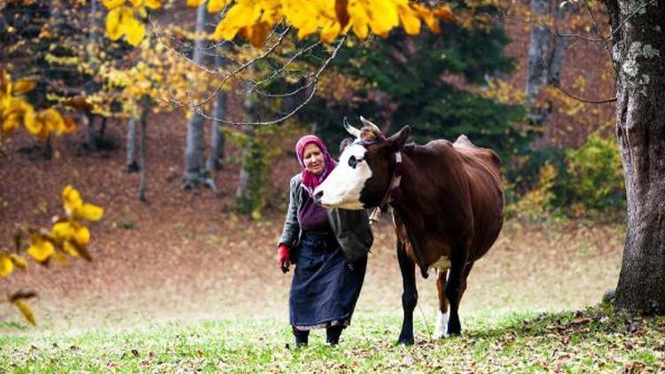 Karadenizin çalışkan kadınlarını, pandemi de durduramadı