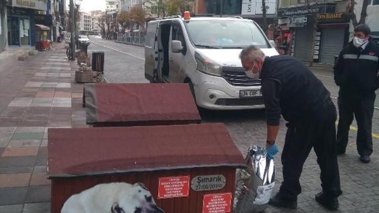 Odunpazarı Belediyesi sokakta yaşayan hayvanları unutmadı