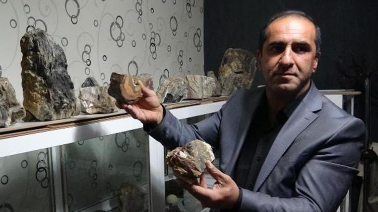 Erzurumda, 160 milyon yıllık fosil ağaç kalıntıları bulundu