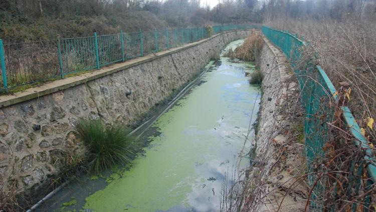 Bartın Irmağındaki kirliliğin nedeni, tekstil fabrikasıymış