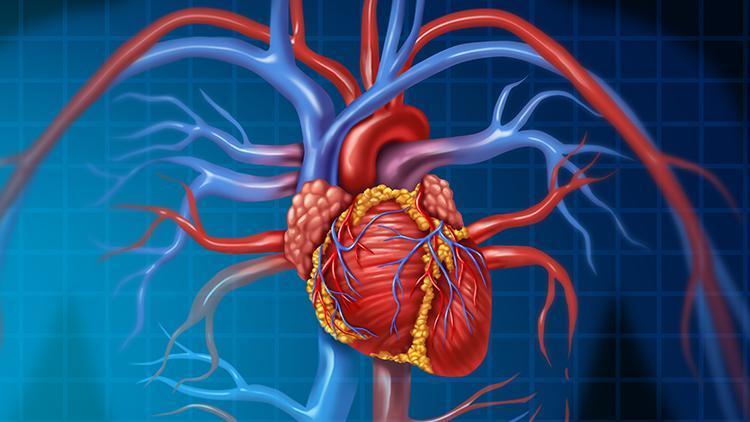 Covid-19’un kalp üzerindeki etkileri neler?