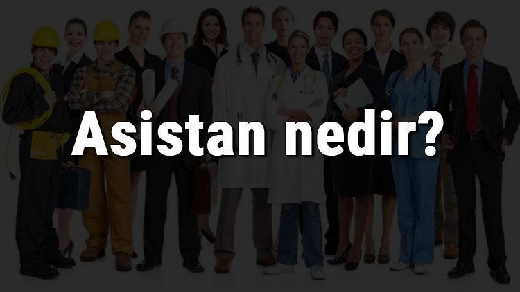 Asistan nedir, ne iş yapar ve nasıl olunur Asistan olma şartları, maaşları ve iş imkanları