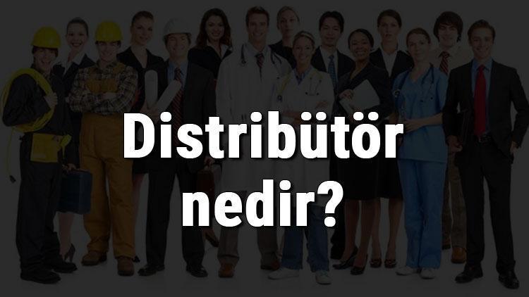 Distribütör nedir, ne iş yapar ve nasıl olunur Distribütör olma şartları, maaşları ve iş imkanları